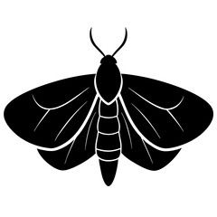 Black and White Stylized Moth Illustration