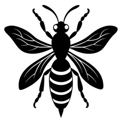 Black and White Stylized Bee Illustration