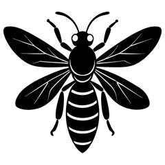 Black and White Stylized Bee Illustration
