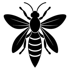 Stylized Black and White Bee Illustration