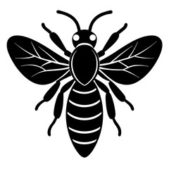 Stylized Black and White Honeybee Illustration