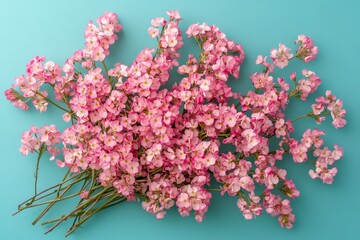 Obraz premium Pretty pink flowers arranged on a turquoise background.
