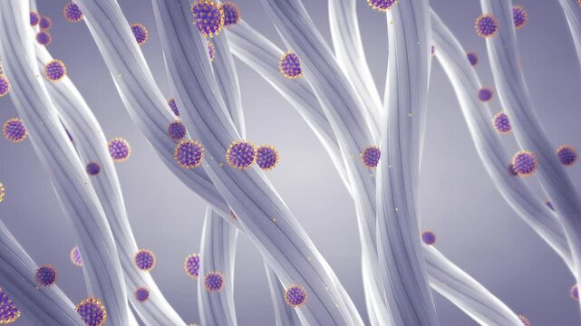 Viruses captured by HEPA filter. The fibers can also trap other airborne contaminants such as bacteria, mold, pollen and dust. Air purification technology