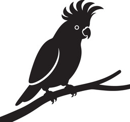 Obraz premium black and white parrot silhouette