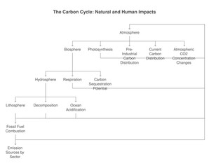diagram illustrating the natural and human impacts of the carbon cycle, showcasing its intricate processes and environmental consequences