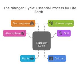 Fototapeta premium The Nitrogen Cycle illustrated
