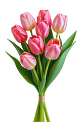 Fototapeta premium Elegant Bouquet of Pink Tulips, isolated on transparent background, png