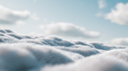 Soft fluffy surface resembling snow or fur under a bright sky with gentle clouds