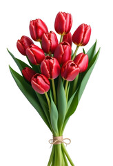 Fototapeta premium Elegant Bouquet of red Tulips, isolated on transparent background, png
