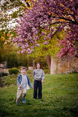 Fototapeta premium Joyful Children Playing Under Cherry Blossom Tree