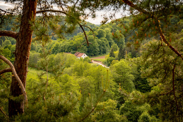 Idyllic Landscape Near Schönhofen In The Bavarian Jura: Rolling Green Hills, Winding Country Road, And Dense Forest Along A Quiet River Valley In A Peaceful Rural Area Of Bavaria, Germany