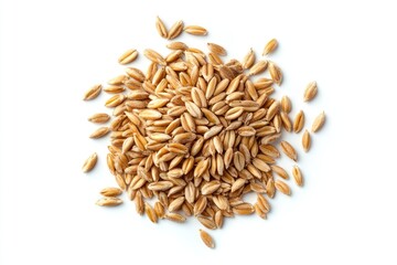 Obraz premium Durum wheat grains
