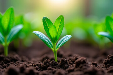 growing green seedling or small tree on soil.created with the help of artificial intelligence.