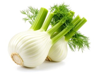 Two White Fennel Bulbs with Green Stalks and Leaves Isolated on White Background
