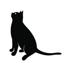 black cat vector illustration