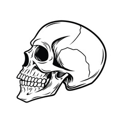 Skull drawing silhouette vector illustration. Gothic style, dark design, detailed contour, spooky and edgy icon