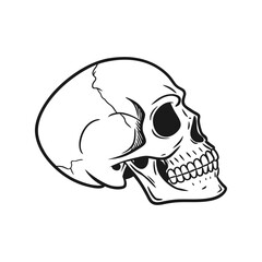 Skull drawing silhouette vector illustration. Gothic style, dark design, detailed contour, spooky and edgy icon
