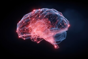 Brain structure network intelligence artificial