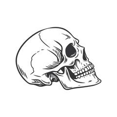 Skull drawing silhouette vector illustration. Gothic style, dark design, detailed contour, spooky and edgy icon
