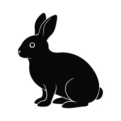 Silhouette of a 