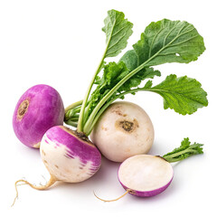 vegetables isolated on white background