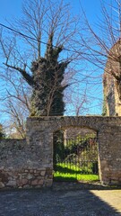 Medinaceli