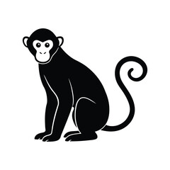 Silhouette of a Monkey