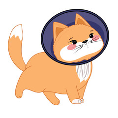 Adorable kitten in vet collar, fluffy tail, friendly character, perfect for animal care and health themes