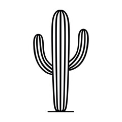 Silhouette of a Cactus