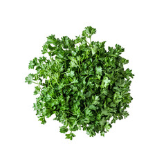Obraz premium Fresh Green Parsley Bunch, Culinary Herb, Isolated Background