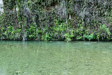 Vegetated Rock Wall Beside Stream in Pantalica Gorge