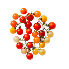 Obraz premium Colorful Cherry Tomatoes Red, Orange, Yellow VineRipened