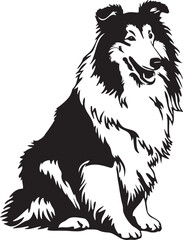 vector illustration of Rough Collie dog