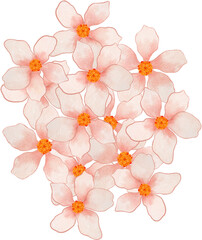 Fototapeta premium watercolor clipart Asian Abstract flower blossom