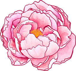 watercolor clipart Asian Abstract  flower blossom