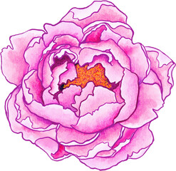 watercolor clipart Asian Abstract  flower blossom