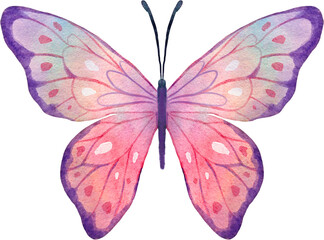 watercolor clipart Asian Abstract  flower blossom