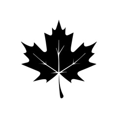 Naklejka premium Maple Leaf Silhouette: A minimalist silhouette of a maple leaf, showcasing the intricate details and iconic shape, set against a clear background.