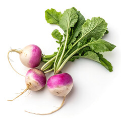bunch of fresh radish