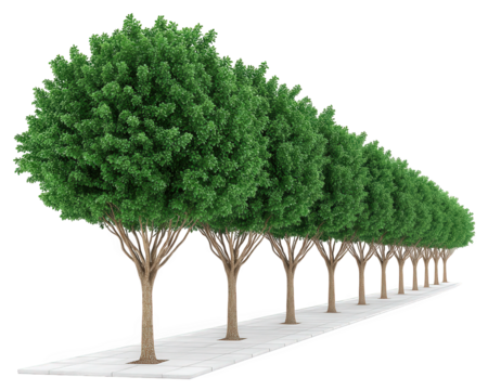 Lush trees line serene pathway, creating tranquil atmosphere. vibrant green foliage provides shade and beauty, inviting peaceful strolls along well maintained walkway