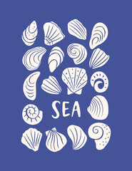 Hand drawn seashell poster