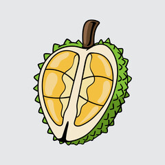 Durian fruit simple isolated cartoon illustration with a light background