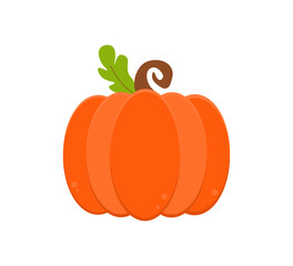 pumpkin isolated on white background