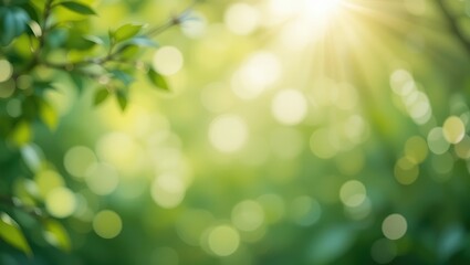 Obraz premium Sunlight Filtering Through Green Leaves Creating a Soft Bokeh Background in Nature