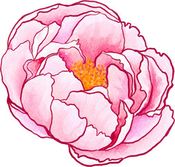 watercolor clipart Asian Abstract  flower blossom