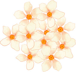 watercolor clipart Asian Abstract  flower blossom