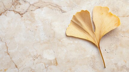 Close-up of a single ginkgo biloba leaf on a beige-colored marble surface. the leaf is elongated and has a pointed tip at the bottom.