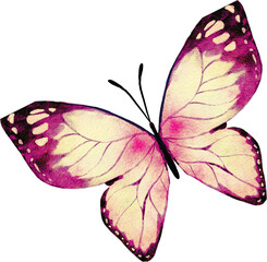 watercolor clipart Asian Abstract  flower blossom