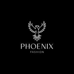 Abstract Colorful Logo Design Elements