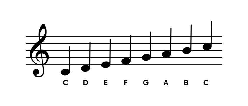 Vector image of a musical staff with labeled notes from the C major scale in the treble clef. Educational illustration ideal for music students, teachers, and educational design materials
